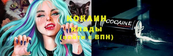 мдпв Няндома