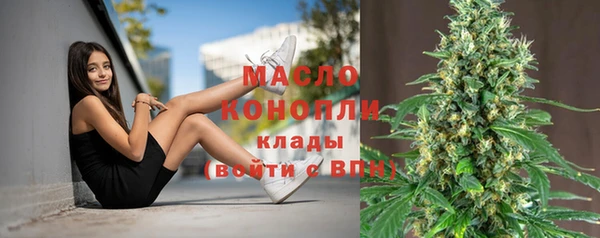 мдпв Няндома