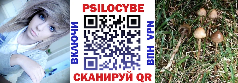 Псилоцибиновые грибы мухоморы  купить  цена  hydra tor  Котовск 