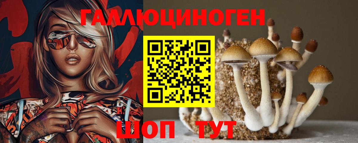 Галлюциногенные грибы GOLDEN TEACHER Котовск