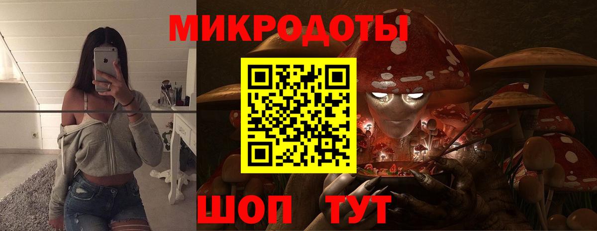 Котовск  Галлюциногенные грибы мицелий  Вход с VPN 