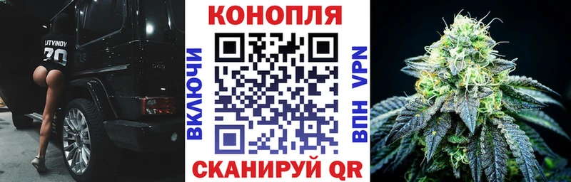 где купить наркоту  Котовск  Шишки марихуана THC 21% 