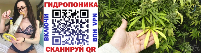 Канабис Amnesia Котовск